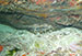 Cozumel 2013