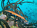 Cozumel 2013