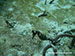 Cozumel 2013