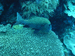 Palau 2010