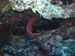 Palau 2010