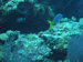 Palau 2010