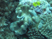 Palau 2010