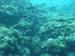 Palau 2010