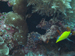 Palau 2010