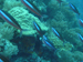 Palau 2010