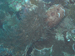 Palau 2010