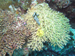Palau 2010