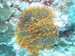 Palau 2010