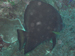 Palau 2010