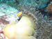 Palau 2010