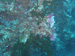 Palau 2010