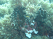 Palau 2010