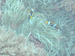 Palau 2010