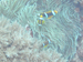 Palau 2010