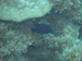Palau 2010