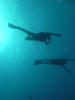 Palau 2010