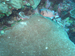 Palau 2010
