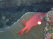 Palau 2010
