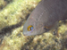 Palau 2010