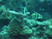 Palau 2010