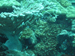Palau 2010