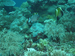 Palau 2010