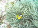 Palau 2010
