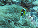 Palau 2010