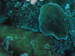 Palau 2010