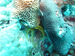 Palau 2010