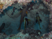 Palau 2010