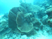 Palau 2010
