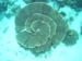 Palau 2010