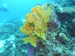 Palau 2010