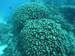 Palau 2010