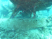 Palau 2010