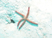 Palau 2010
