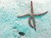 Palau 2010