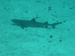 Palau 2010