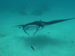 Palau 2010