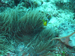 Palau 2010