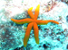 Palau 2010