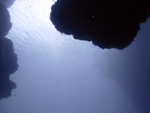 Roatan 2010