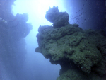Roatan 2010