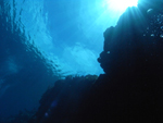 Roatan 2010